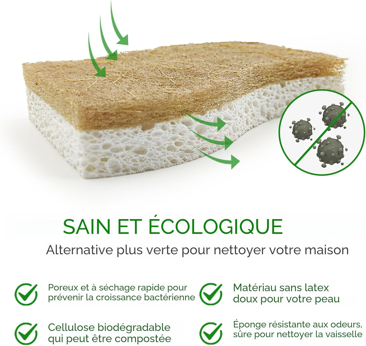 Éponges naturelles biodégradables lot de 12