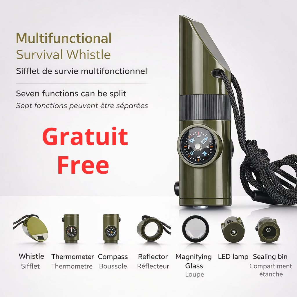 Chargeur solaire portatif