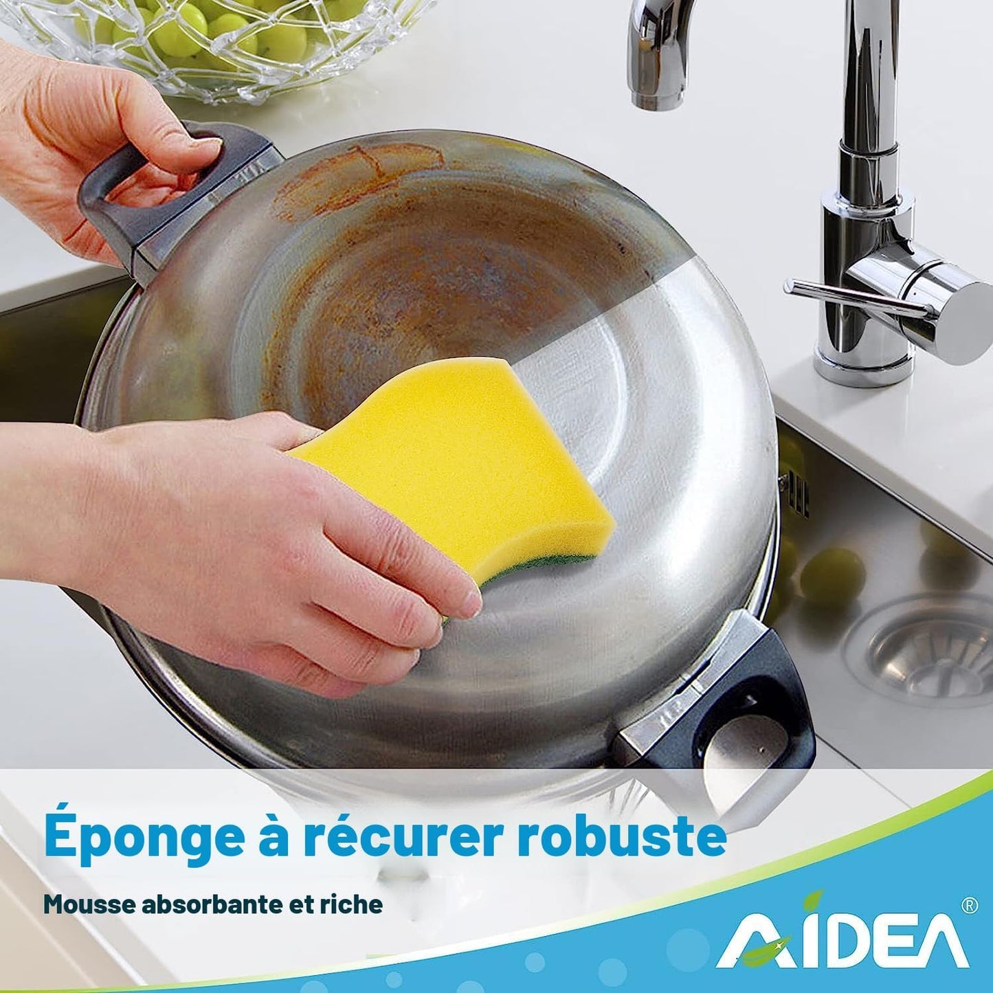 Éponge à Récurer