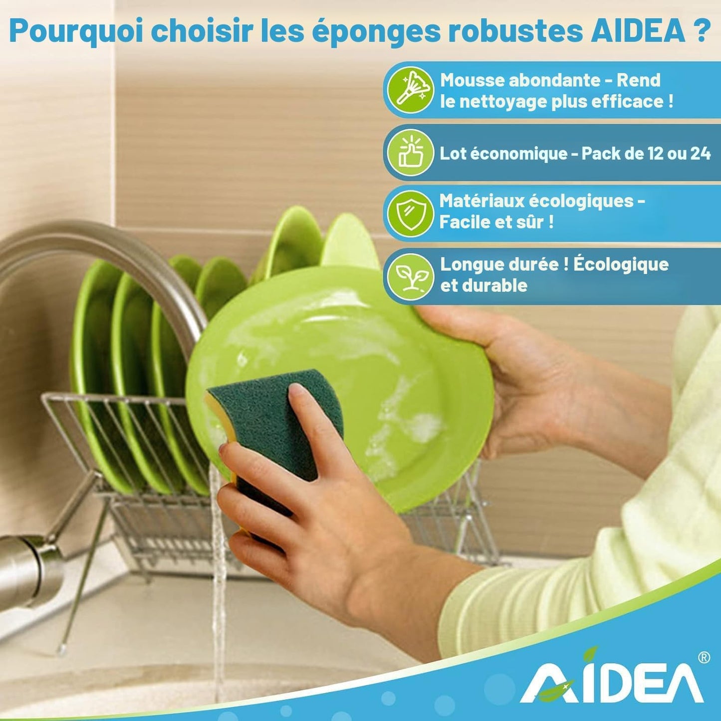 Éponge à Récurer