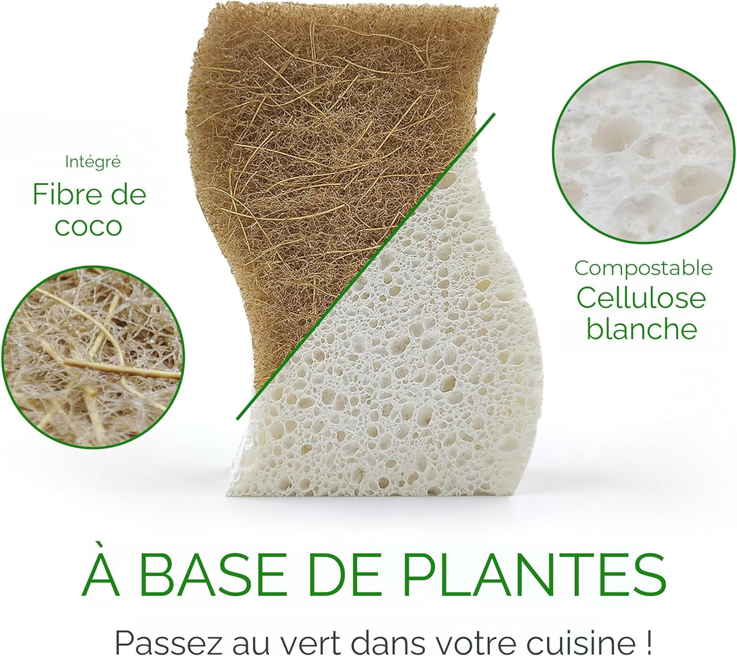 Éponges naturelles biodégradables lot de 12