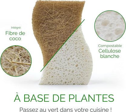 Éponges naturelles biodégradables lot de 12