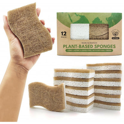 Éponges naturelles biodégradables lot de 12