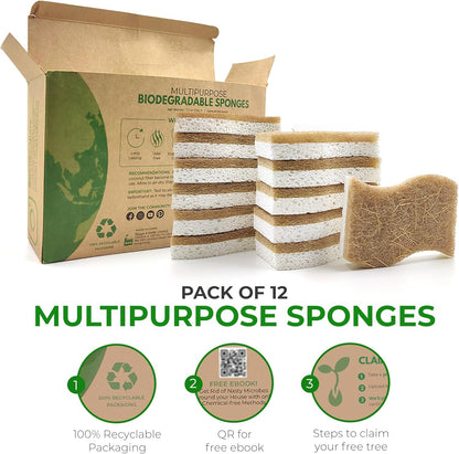 Éponges naturelles biodégradables lot de 12