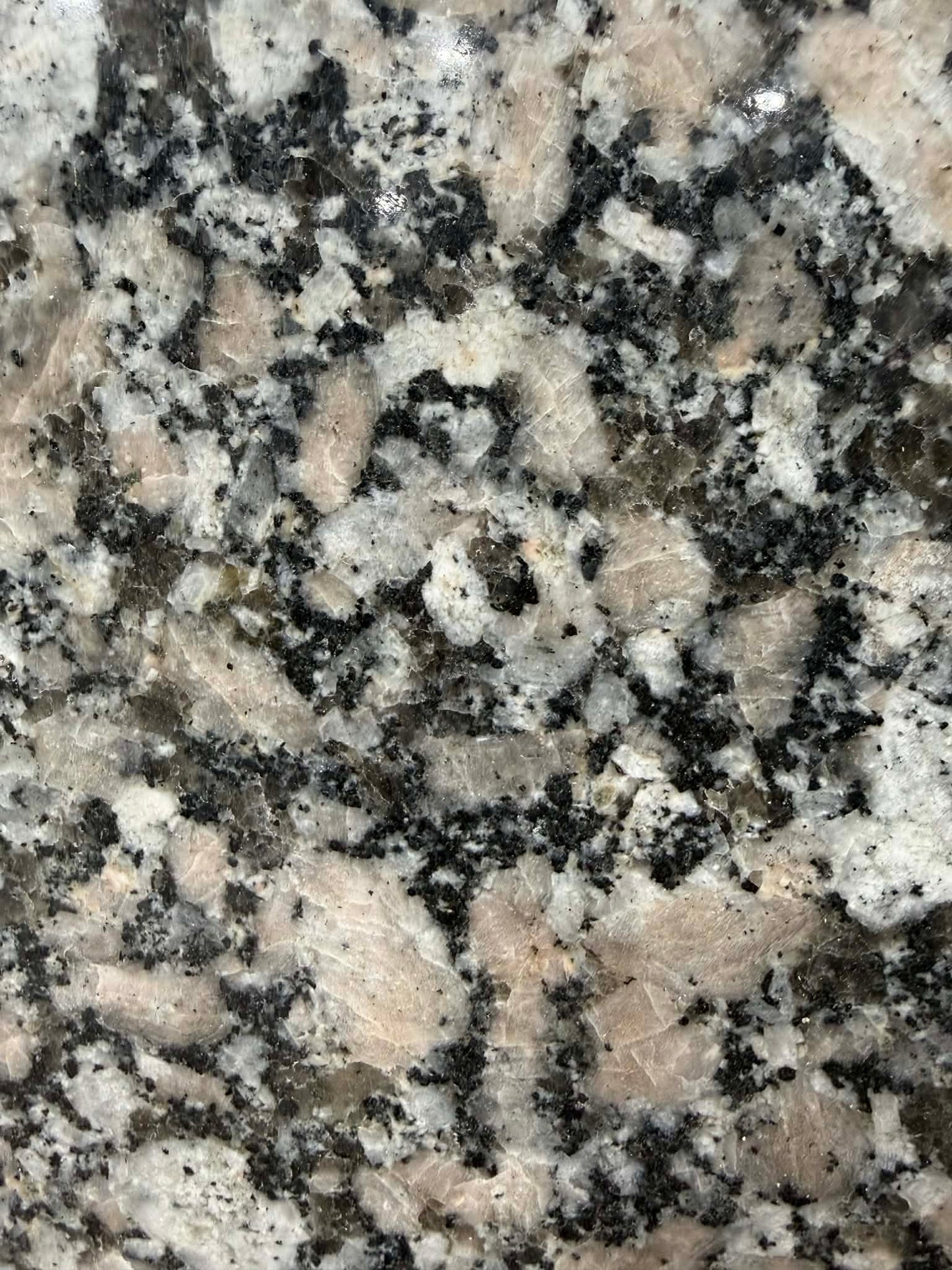 Tuile de granite 12x12